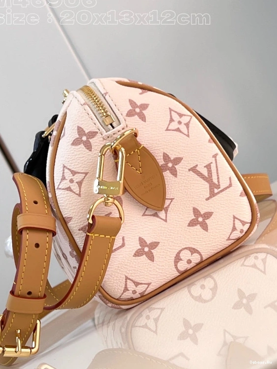 BANDOULIÈRE LOUIS VUITTON SPEEDY 20 0228